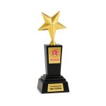 تندیس ستاره برنز - Image 4