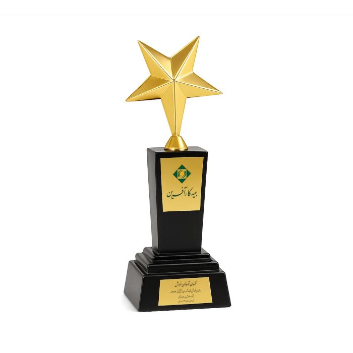 تندیس ستاره برنز - Image 3