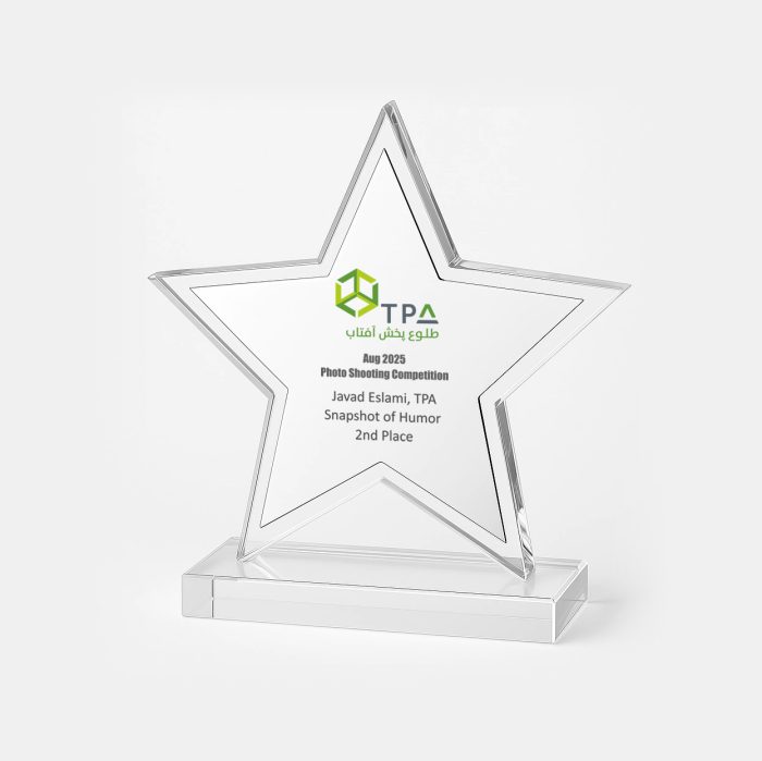 تندیس ستاره آریو - Image 7