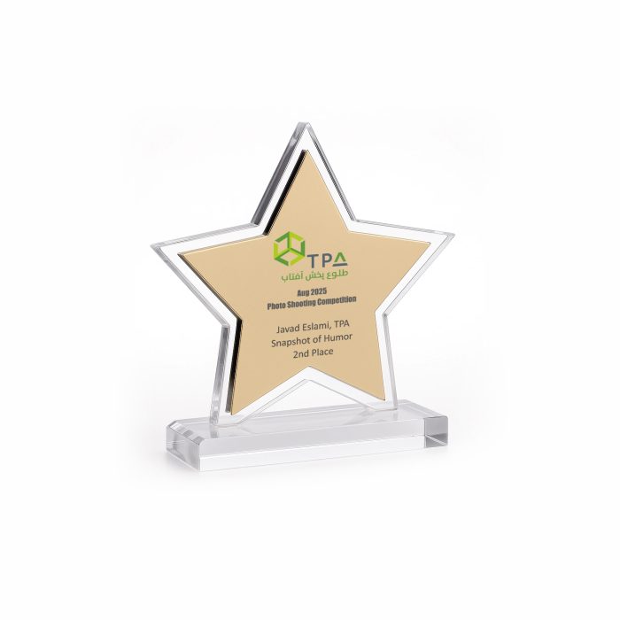 تندیس ستاره آریو - Image 8