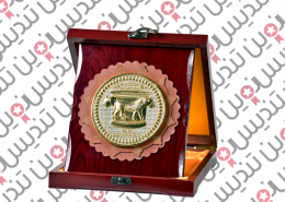 مدال ورزشی