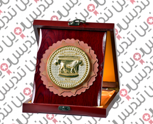 مدال ورزشی